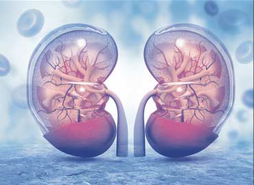 Nine Pearls Hospital Department of Nephrology