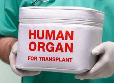 Nine Pearls Hospital Department of Organ Transplant